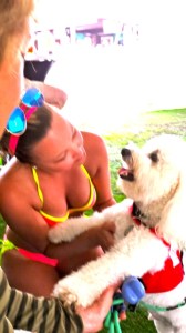 super bowl dog wahine 34740039