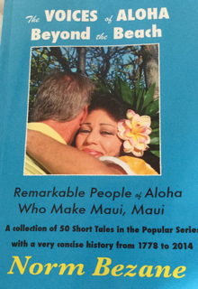 BEACH BOOK COVER SMIMG_2386