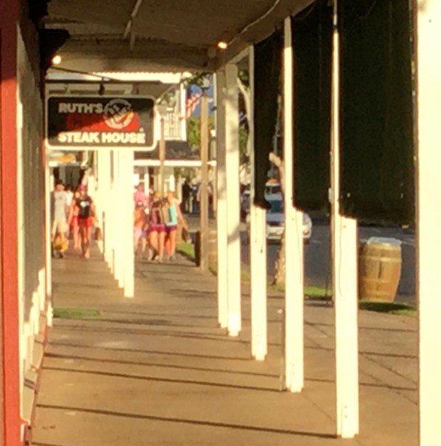 white posts  IMG_2290