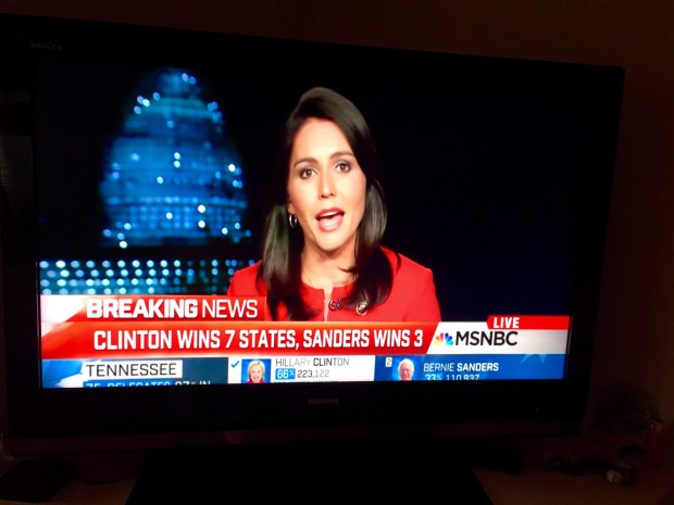 tulsi msnbc - 1
