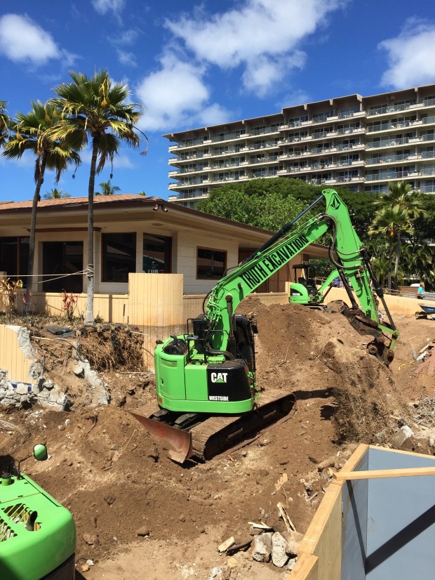 whales village cranes - 1